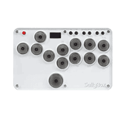 Hitbox Sallybox LED Arcade Fighting Stick WASD Controller 16 sally fightboxi in